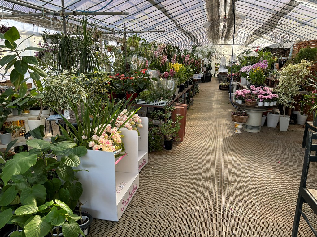 画像の説明 画像の説明